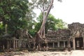 Preah Khan Temple, Siem Reap, Cambodia at sunny morning. Royalty Free Stock Photo