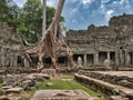 Preah Khan Tree Temple - A massive tree with sprawling roots intertwined with the ancient stone ruins of Preah Khan temple under a Royalty Free Stock Photo
