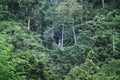 Preah Monivong National Park in Cambodia Royalty Free Stock Photo