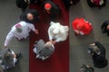 Prebendaries greet Pope Benedict at the entrance to the Zagreb cathedral