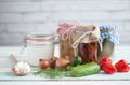 Prebiotic fermented foods Royalty Free Stock Photo