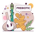 Prebiotic products. Healthy food as a source of good degestive