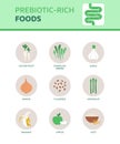 Prebiotic-rich foods that help digestion Royalty Free Stock Photo