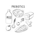 Prebiotics-containing food. Groups of healthy products containing vitamins and minerals. Set of fruits, vegetables