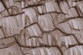 Precambrian schist rock patterns and cracks, illustration