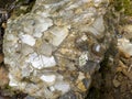 precious crystal quartz stone vein