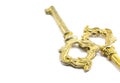 precious golden ancient keys