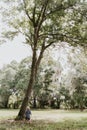 Precious Little Toddler Boy Dressed Up in the Outdoors Forest Park for Portraits in Autumn by Big Natural Tree Having Excited Fun Royalty Free Stock Photo