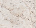 Precious marble stone texture design