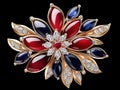 Precious ruby flower brooch jewelry with sapphire and diamond expressing deep passion and elegance on black background Royalty Free Stock Photo