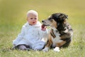 Precious 1 year old Baby Girl Sitting Outside with Pet Dog Royalty Free Stock Photo