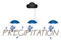 Precipitation