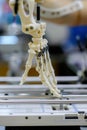 A precise 3D printer meticulously fabricates an anatomical skeleton, highlighting advancements in medical prosthetics Royalty Free Stock Photo