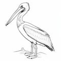 Precise Draftsmanship: Free Pelican Coloring Page