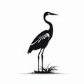 Precise And Lifelike Black Heron Silhouette Walking Across Grass