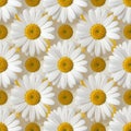 Precisely Arranged Diagonal Daisy Grid Pattern Royalty Free Stock Photo