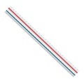 Precision architect scale ruler isolated