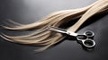 Precision in Cut - Hairdressers scissors with strand of blonde hair