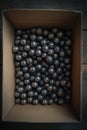 Precision Engineering Close-Up of Steel Ball Bearings in Cardboard Box, Variation In Size Royalty Free Stock Photo