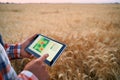 Precision farming. Farmer hands hold tablet using online data management software, differential fertilizer application