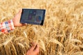 Precision farming. Farmer hands hold tablet using online data management software with maps at wheat field. Agronomist Royalty Free Stock Photo