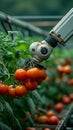 Precision farming Robotic arm harvesting vegetables symbolizes agricultural automation