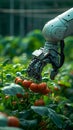 Precision farming Robotic arm harvesting vegetables symbolizes agricultural automation