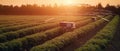 Precision farming system uses artificial intelligence to optimize crop yields