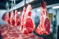 Precision in processing: meat on industrial hooks Royalty Free Stock Photo