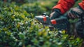 Precision Pruning: A Close-up of a Man\'s Hand with Hedge Trimmer Tending to Bushes in a Garden Royalty Free Stock Photo
