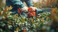 Precision Pruning: A Close-up of a Man\'s Hand with Hedge Trimmer Tending to Bushes in a Garden Royalty Free Stock Photo