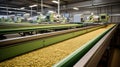 precision seed technology