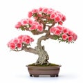 Precisionist Art Inspired Bonsai Tree With Pink Flowers