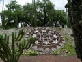 Teotihuacan Pyramids - Mexico