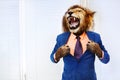 Predator angry boss concept man with lion head Royalty Free Stock Photo