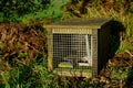 Predator free New Zealand, rat and mustelid trap