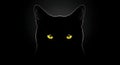 Predator Gaze: Black Cat in Darkness Royalty Free Stock Photo