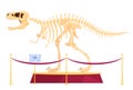 Predatory dinosaur skeleton on a pedestal in the museum. Skeleton of FMD carnivores and herbivores. Archaeological