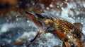 Predatory fish, sharp teeth, leaping from water, dynamic splashes, vibrant scales, sparkling bokeh. Royalty Free Stock Photo