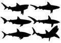 Sharks in different poses in the set. The image can be suitable as a logo or other.