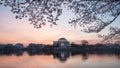 Predawn Cherry blossoms at Washington DC Tidal Basin Royalty Free Stock Photo