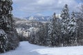 Predeal winter resort in Romania , winter landscape