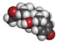 Prednisolone corticosteroid drug molecule. Atoms are represented as spheres with conventional color coding: hydrogen (white),