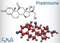 Prednisone molecule. A synthetic anti-inflammatory glucocorticoid derived from cortisone. Structural chemical formula and molecule Royalty Free Stock Photo