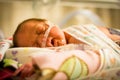 Preemie baby girl sleeping in the incubator Royalty Free Stock Photo