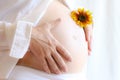 Pregnancy Royalty Free Stock Photo