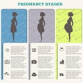 Pregnancy and birth infographics, pregnancy stages Royalty Free Stock Photo