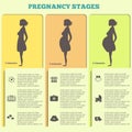 Pregnancy and birth infographics, pregnancy stages Royalty Free Stock Photo