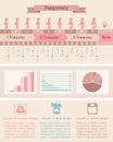 Pregnancy, birth. Infographics with timeline of Royalty Free Stock Photo