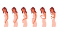 Pregnancy calendar concept. Woman goes from conception to childbirth. Stages of changes in female body during pregnancy